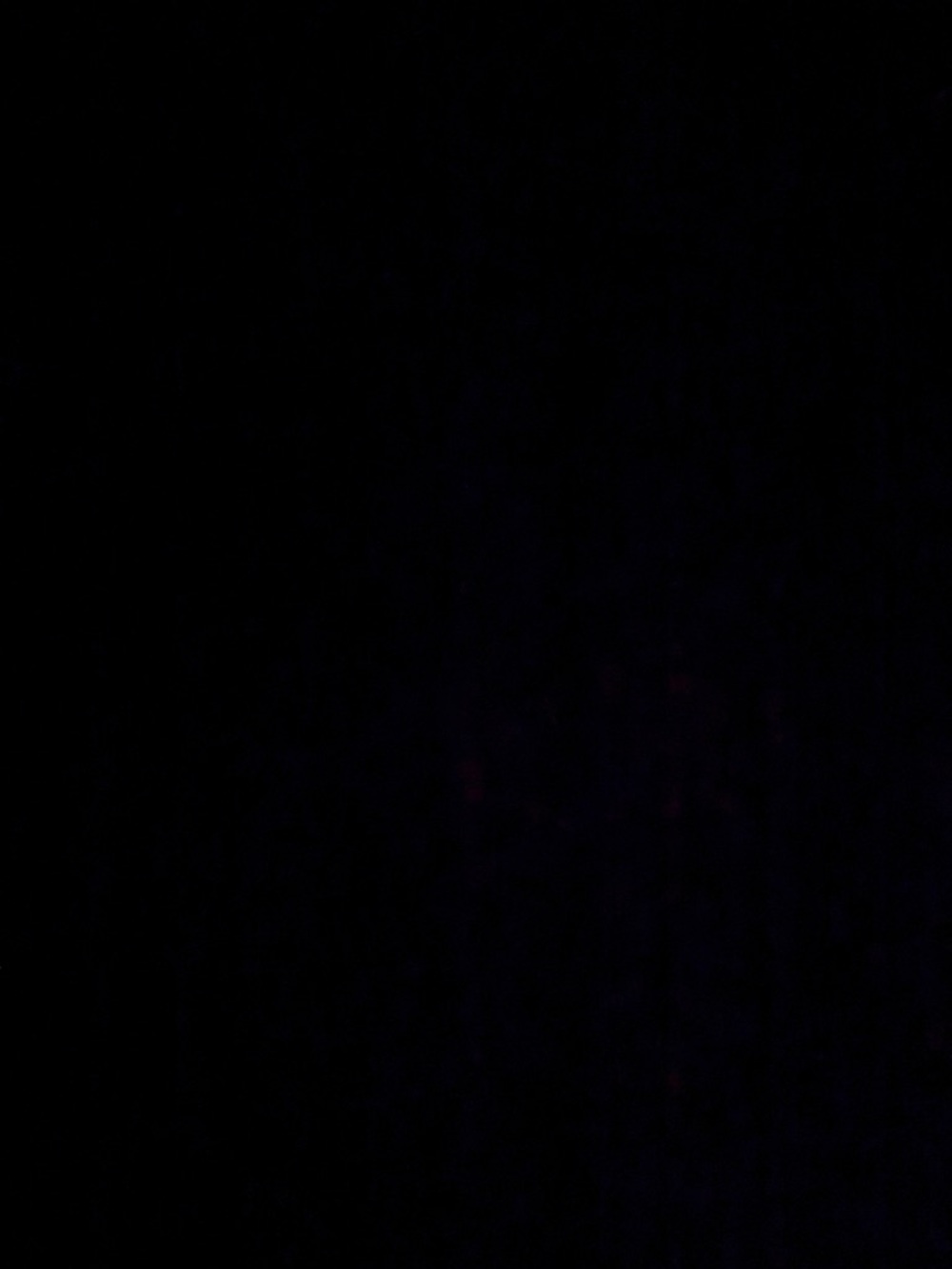 Meet your Posher, Ilona